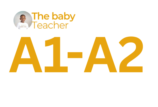 A0-A1-3.webp